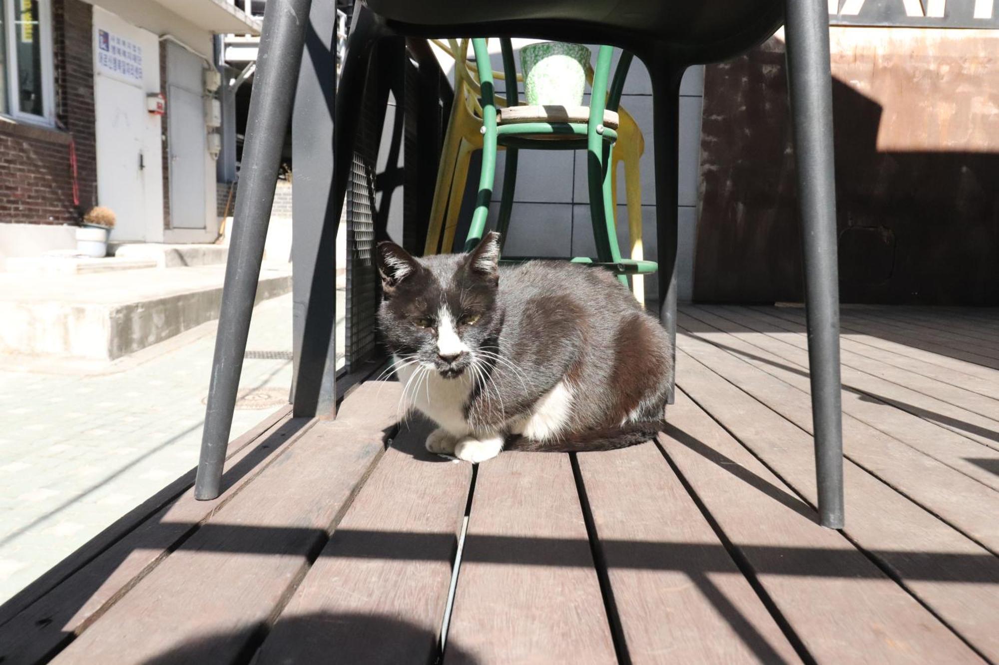 Hah Guesthouse Seul Exterior foto